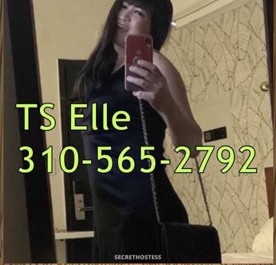 23Yrs Old Escort San Diego CA Image - 0