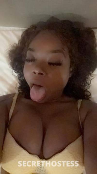 23Yrs Old Escort Miami FL Image - 1