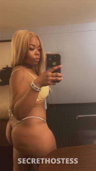 23Yrs Old Escort Miami FL Image - 3