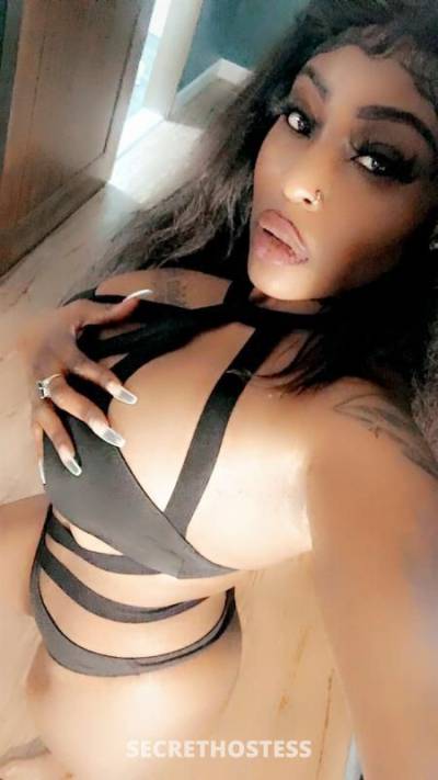25Yrs Old Escort Denver CO Image - 3