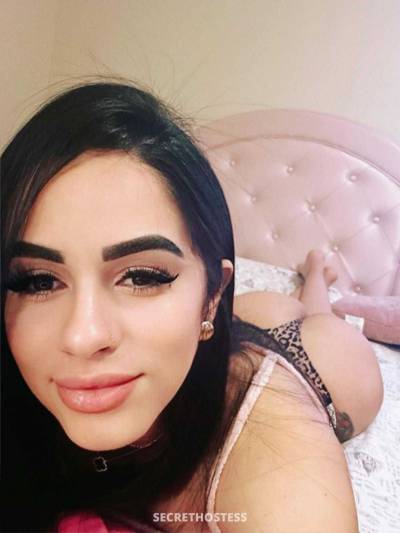 25Yrs Old Escort Houston TX Image - 1