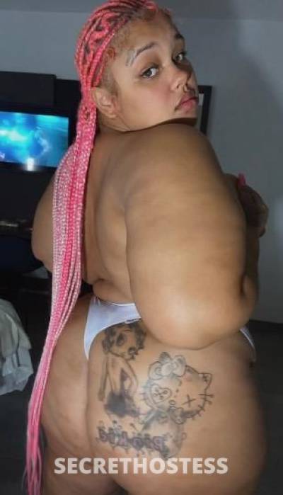 29 Year Old Latino Escort Tampa FL - Image 2