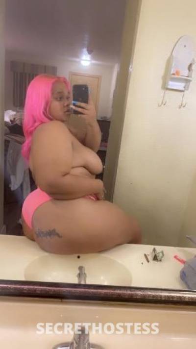 29 Year Old Latino Escort Tampa FL - Image 1