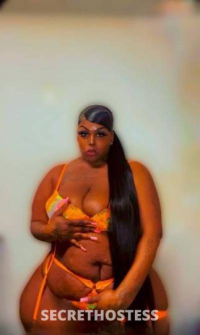 CAKEZ🍭🍨🍦🎂👅 32Yrs Old Escort Tampa FL Image - 3