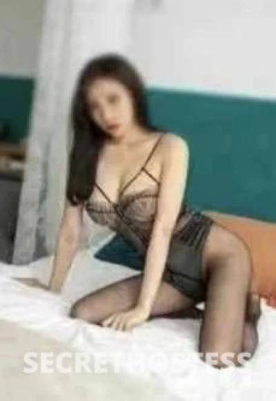 Cindy 24Yrs Old Escort Perth Image - 2