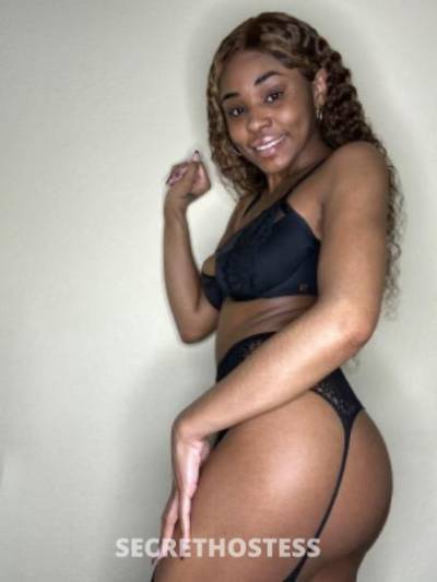 Honey 25Yrs Old Escort San Antonio TX Image - 6