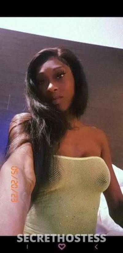 Kay 23Yrs Old Escort Houston TX Image - 6