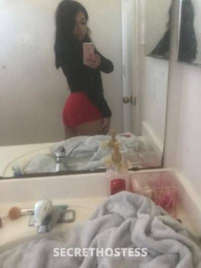 Miami 22Yrs Old Escort Houston TX Image - 2