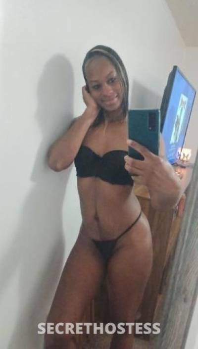 ParadiseKisses 34Yrs Old Escort Killeen TX Image - 3