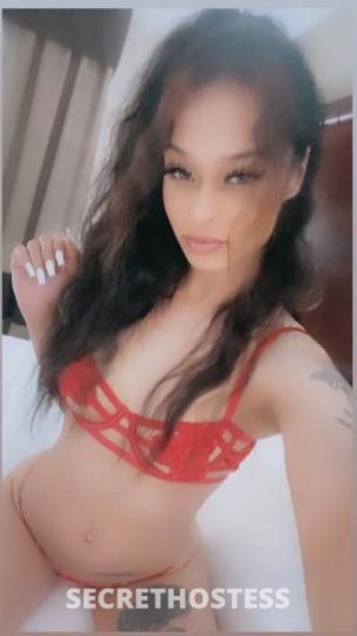 Rosie 24Yrs Old Escort Toledo OH Image - 4