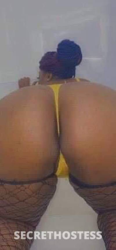 coco🍫 25Yrs Old Escort Columbia SC Image - 0