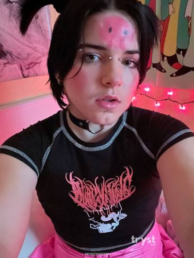 Des Kuromi - nonbinary manic pixie in Los Angeles CA