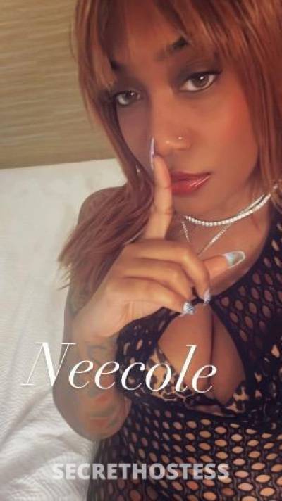28 year old Caribbean Escort in Chesapeake VA Ethiopian/Cuban Fetish Friendly Vixen