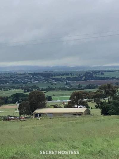 42Yrs Old Escort Bathurst Image - 0