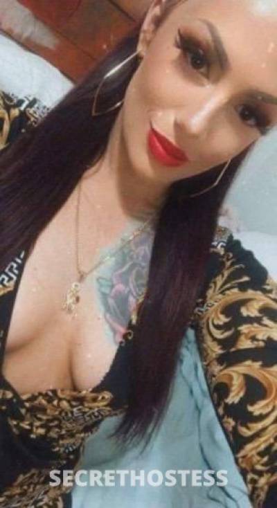 25 year old Italian Escort in Myrtle Beach SC 5 ⭐ Experience!....Italian Queen. OUTCALLS to you! Yes