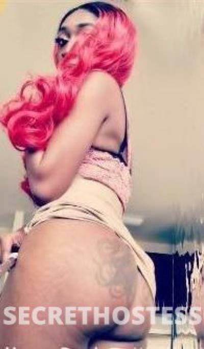 Coco 29Yrs Old Escort Tampa FL Image - 1