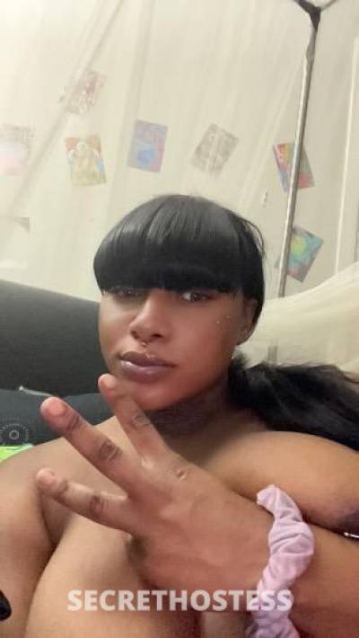 Nakeisha,Nene 29Yrs Old Escort Madison WI Image - 7