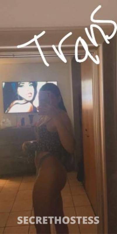25 year old Escort in McAllen TX transsexual morena cachonda dotada para ti en tu cuidad