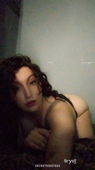 20Yrs Old Escort Size 8 Houston TX Image - 0