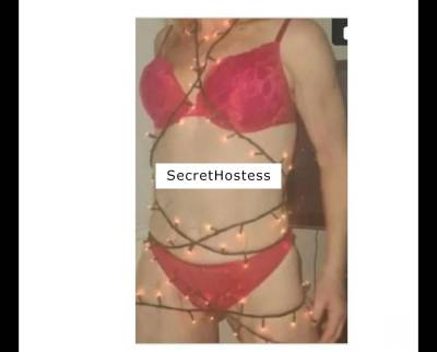 43Yrs Old Escort Size 10 Cardiff Image - 0