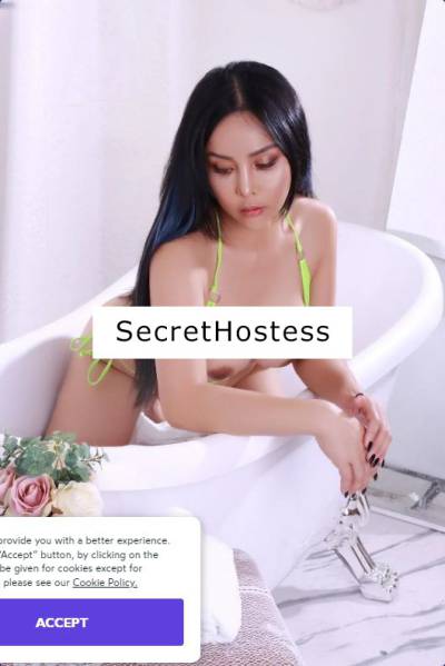 Exquisite-Thai-Sara 27Yrs Old Escort Size 6 175CM Tall Dudley Image - 1