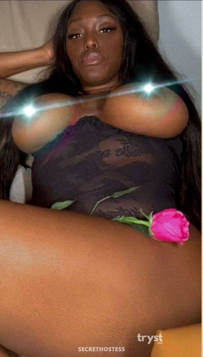 Mary 20Yrs Old Escort Palm Springs CA Image - 2