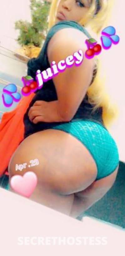 Mz.Lollipopz 29Yrs Old Escort Little Rock AR Image - 6