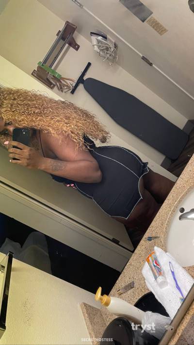 Remy 20Yrs Old Escort Size 12 Chicago IL Image - 1