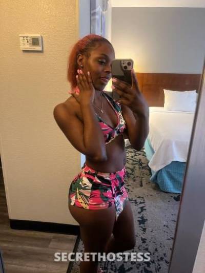 STAR 23Yrs Old Escort New Orleans LA Image - 0