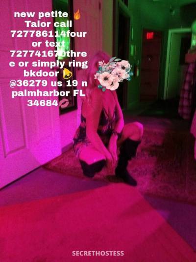 Sat .nite bash with 2. petite blondes in Tampa Bay Area FL