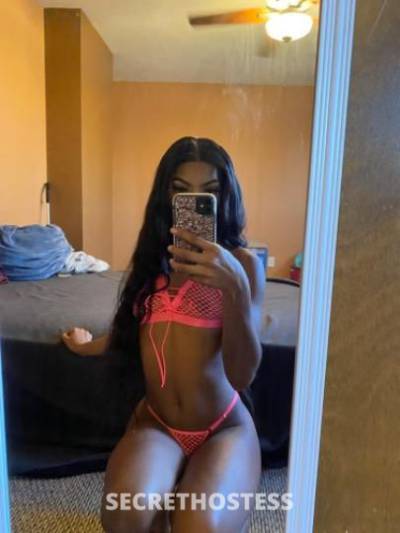 Trina 23Yrs Old Escort Modesto CA Image - 2
