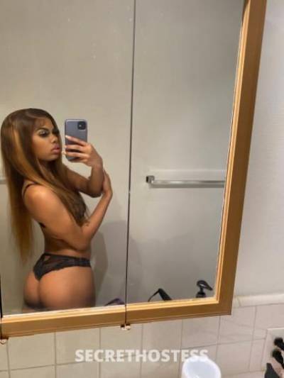 Trina 23Yrs Old Escort Modesto CA Image - 4