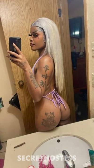 22Yrs Old Escort New Orleans LA Image - 1