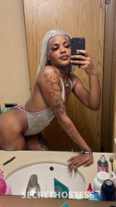 22Yrs Old Escort New Orleans LA Image - 8