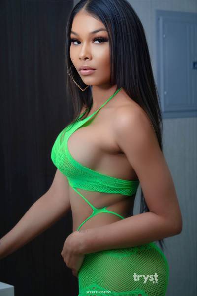 20 Year Old Filipino Escort San Diego CA Brunette Brown eyes - Image 4