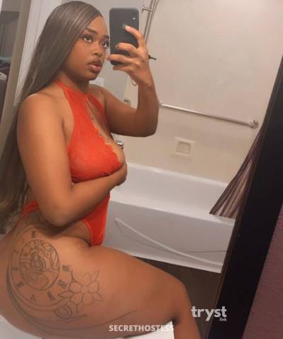 20 Year Old Mixed Escort Dallas TX - Image 4