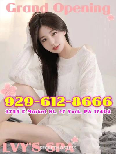 22Yrs Old Escort York PA Image - 3