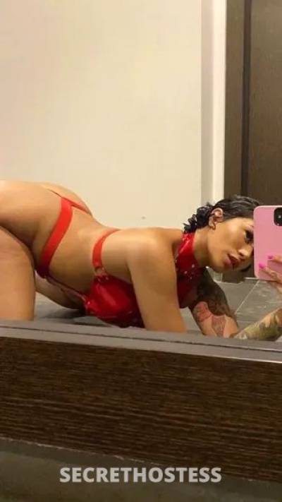 Barely 25Yrs Old Escort 167CM Tall Panama City FL Image - 4