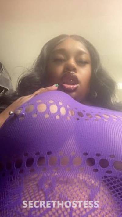 Kash 23Yrs Old Escort Saint Louis MO Image - 0