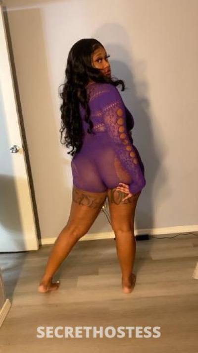 Kash 23Yrs Old Escort Saint Louis MO Image - 3