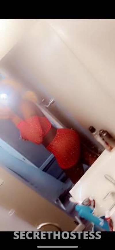 Lola 24Yrs Old Escort Springfield IL Image - 4