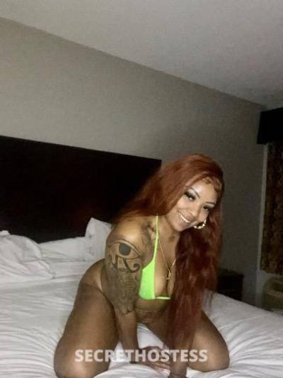 Sevyn🍯 21Yrs Old Escort Monroe LA Image - 2