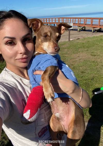 25 year old Escort in Scranton PA xxxx-xxx-xxx Videos P2P CITY GIRLS ESCORT AFFAIRS