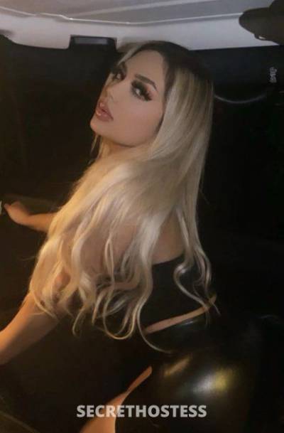 21 Year Old Hispanic Escort Phoenix AZ Blonde - Image 3