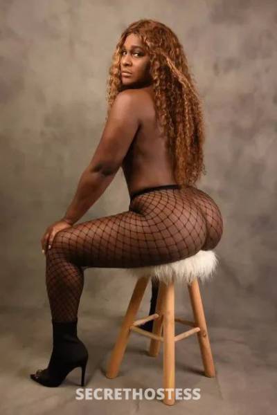 28Yrs Old Escort College Station TX Image - 0