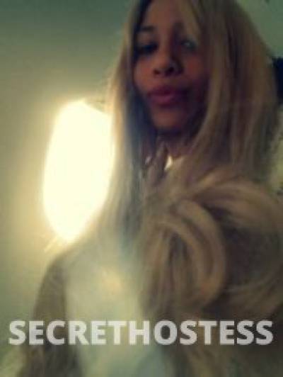 30 Year Old Latino Escort Dubai Blonde - Image 1