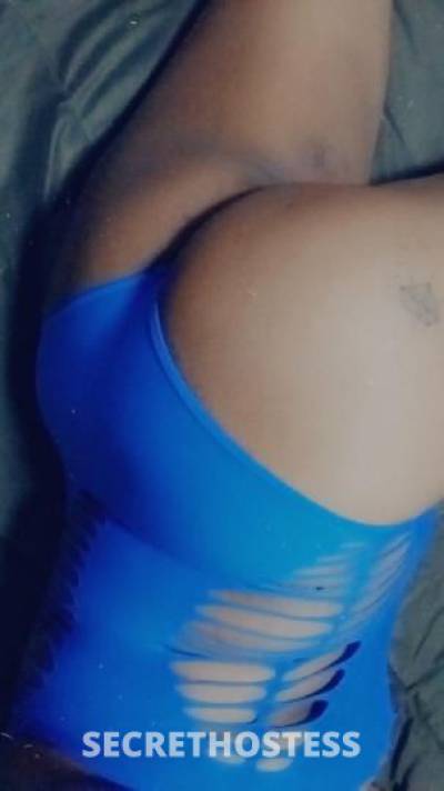 Kai 27Yrs Old Escort Sacramento CA Image - 4