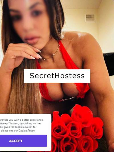 29 Year Old Brazilian Escort Dublin - Image 3