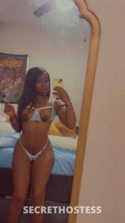 Danger 25Yrs Old Escort Phoenix AZ Image - 4