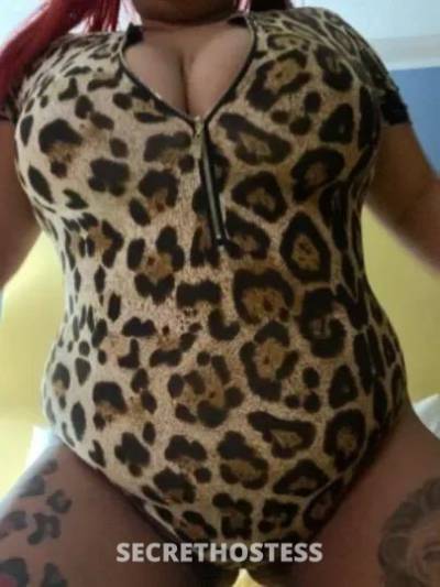  Paradise 24Yrs Old Escort Chesapeake VA Image - 0